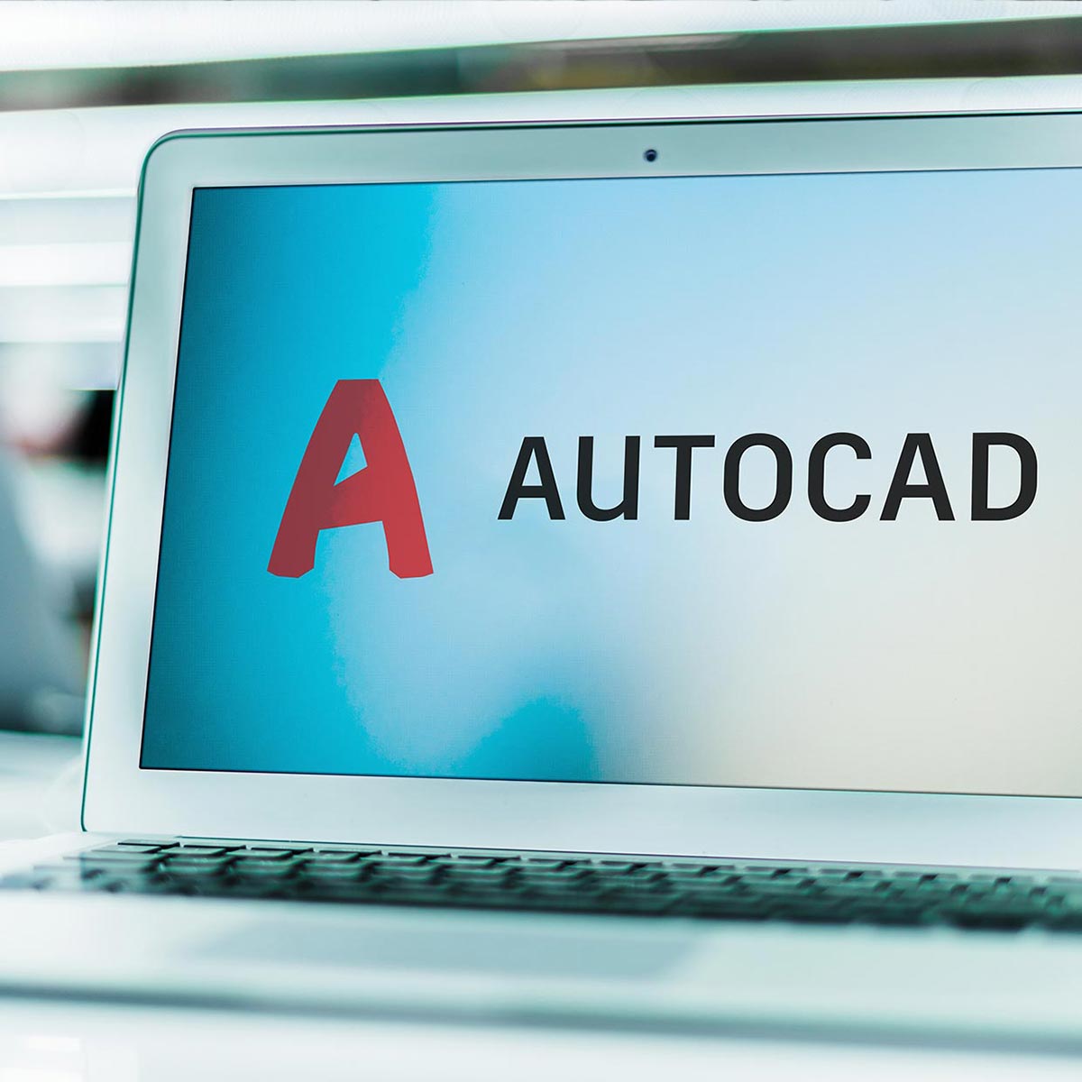 AutoCAD 2008 2D y 3D