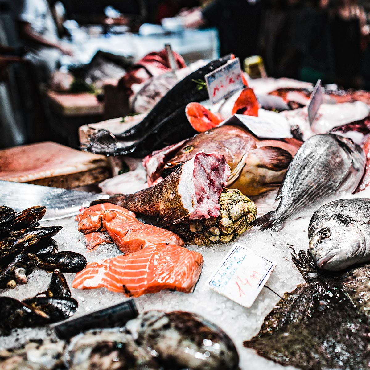 Preelaboración y conservación de pescados